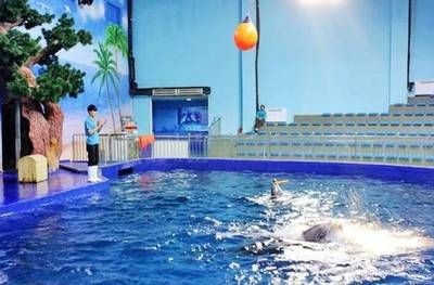 邢臺水族館vs祥龍魚場（邢臺水族館和祥龍魚場是一個大型的地標性建筑預計將成為網紅打卡地）