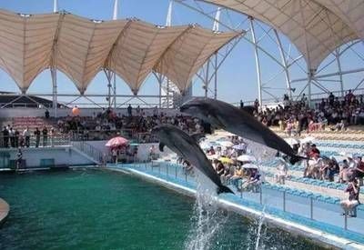 邢臺水族館vs祥龍魚場（邢臺水族館和祥龍魚場是一個大型的地標性建筑預計將成為網紅打卡地）