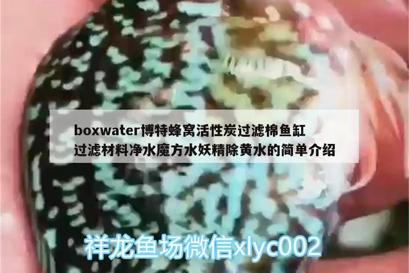 boxwater博特蜂窩活性炭過濾棉魚缸過濾材料凈水魔方水妖精除黃水的簡單介紹