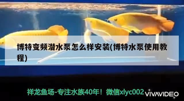 博特變頻潛水泵怎么樣安裝(博特水泵使用教程)
