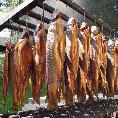 和別人要魚好不好怎么說：和別人要魚好不好怎么說話