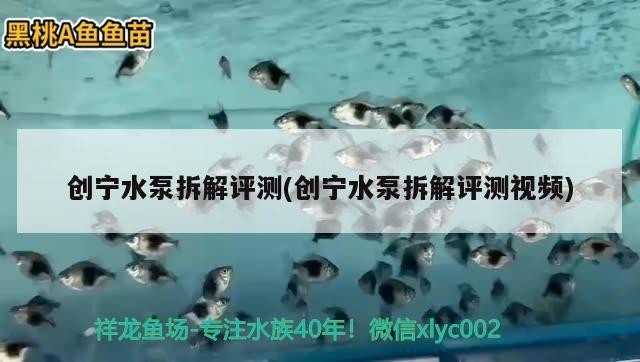 創寧水泵拆解評測(創寧水泵拆解評測視頻)