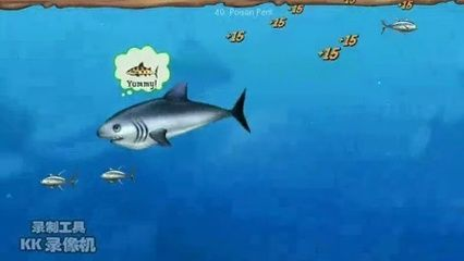 愛(ài)玩魚(yú)的龍哥
