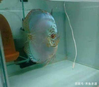 好女架不住難纏郎的意思：好女架不住纏郎上一句