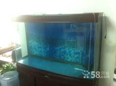 60公分魚缸價(jià)格及圖片：60公分魚缸價(jià)格 60公分魚缸價(jià)格及圖片：60公分魚缸價(jià)格 魚缸百科 第2張
