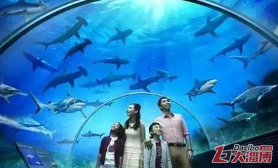 淄博水族館vs祥龍魚場（探討淄博水族館與祥龍魚場之間的差異時，我們需要明確兩者的業務和特點）