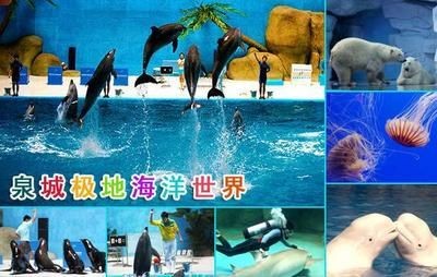 淄博水族館vs祥龍魚場（探討淄博水族館與祥龍魚場之間的差異時，我們需要明確兩者的業務和特點）