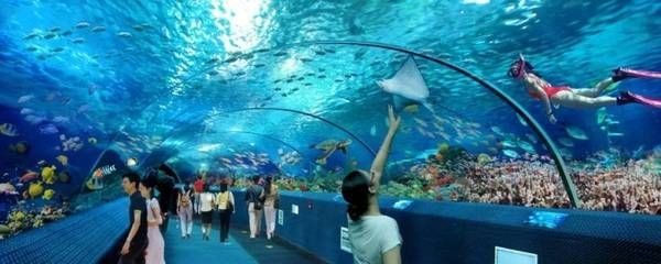 十堰水族館vs祥龍魚場（十堰水族館與祥龍魚場有什么區別？）