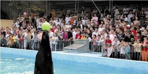 十堰水族館vs祥龍魚場（十堰水族館與祥龍魚場有什么區別？）