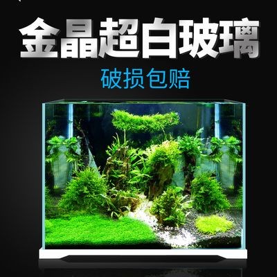 800魚缸造景圖：800魚缸造景設計和裝修效果圖制作步驟和注意事項