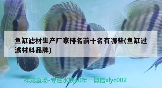 魚缸濾材生產廠家排名前十名有哪些(魚缸過濾材料品牌)