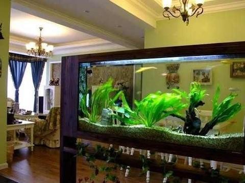 創寧水泵好用嗎知乎