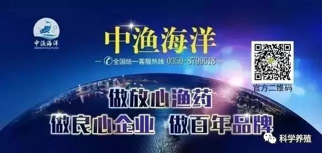 金龍魚運輸前后水質調控：金龍魚運輸前后水質調控方法