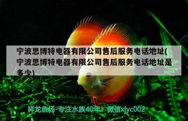 寧波思博特電器有限公司售后服務電話地址(寧波思博特電器有限公司售后服務電話地址是多少)