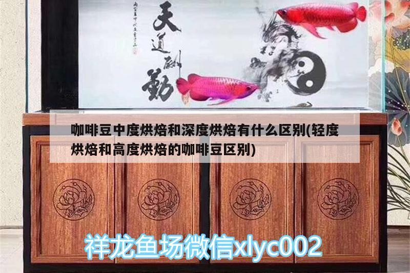 咖啡豆中度烘焙和深度烘焙有什么區別(輕度烘焙和高度烘焙的咖啡豆區別)