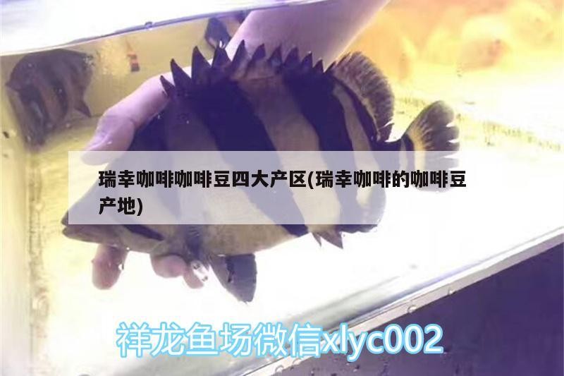 瑞幸咖啡咖啡豆四大產區(瑞幸咖啡的咖啡豆產地)