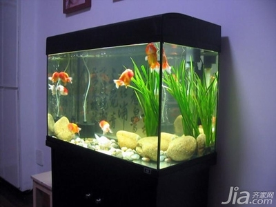 大型魚缸品牌排行榜及價格（大型魚缸品牌排行榜及價格表）