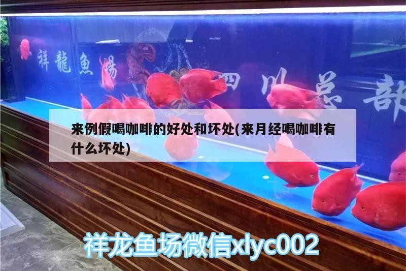 來(lái)例假喝咖啡的好處和壞處(來(lái)月經(jīng)喝咖啡有什么壞處)