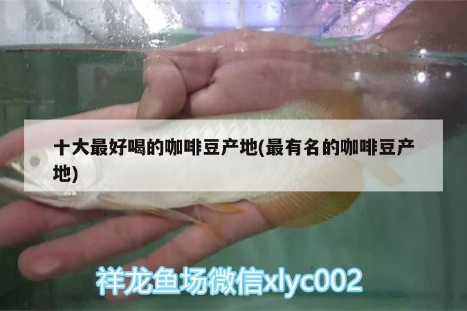 十大最好喝的咖啡豆產地(最有名的咖啡豆產地)