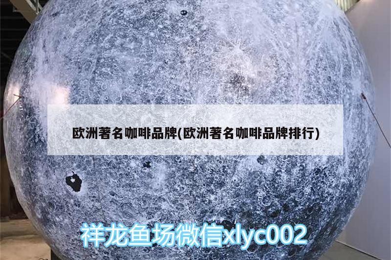 歐洲著名咖啡品牌(歐洲著名咖啡品牌排行)
