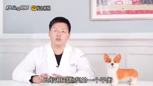 豬鼻龜能跟哪種龜混養(yǎng)：豬鼻龜與其他龜類混養(yǎng)需要注意什么，豬鼻龜混養(yǎng)需要注意什么