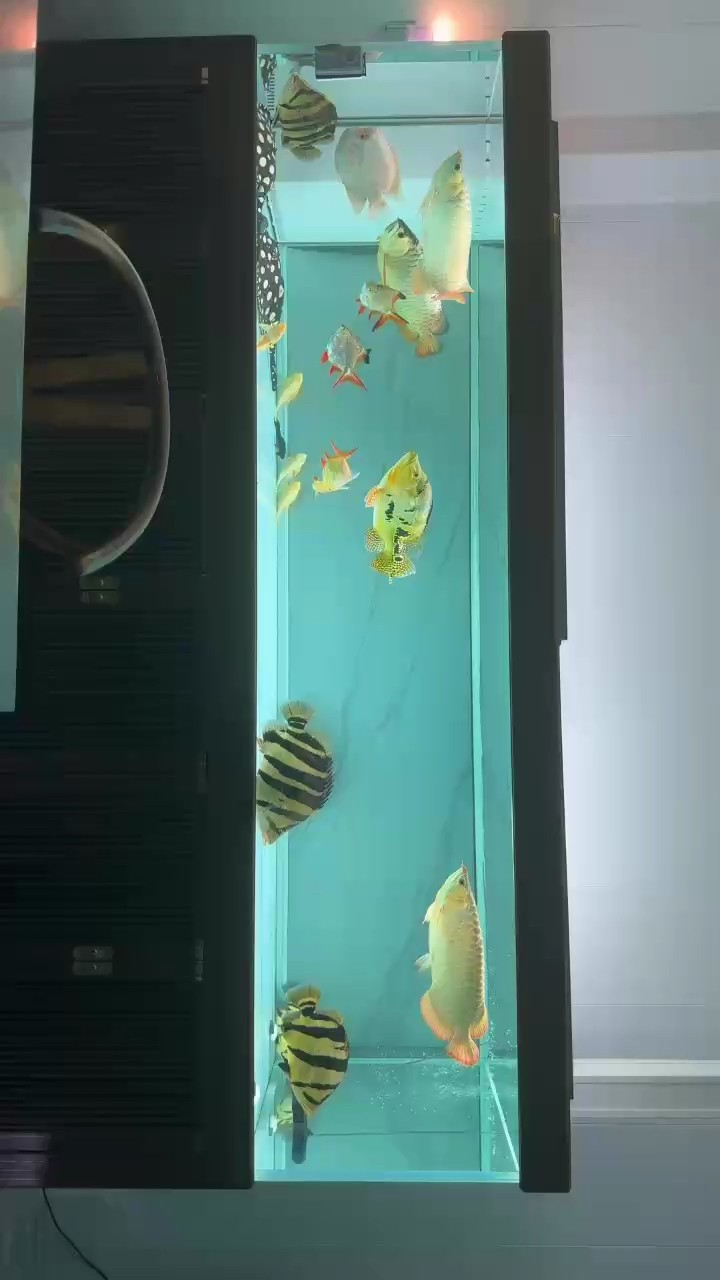 好久沒有更新了！ 好久沒有更新了！ 龍魚論壇