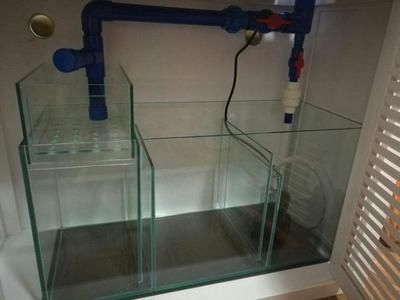 diy整理箱魚缸過濾：diy整理箱魚缸過濾的優點和缺點
