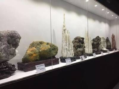 河源龍魚vs祥龍魚場（河源龍魚與祥龍魚場的區別）
