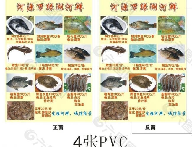 河源龍魚vs祥龍魚場（河源龍魚與祥龍魚場的區別）