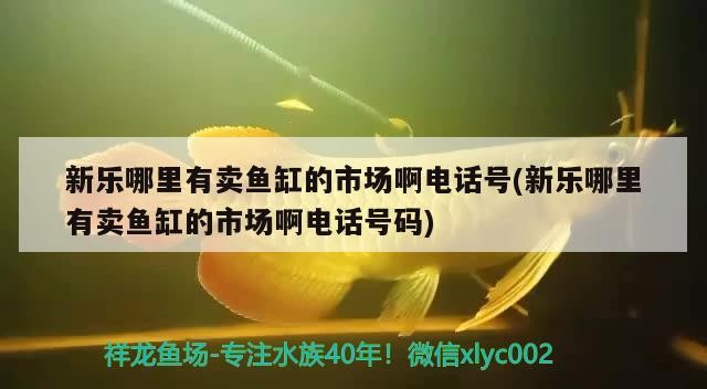新樂哪里有賣魚缸的市場啊電話號(新樂哪里有賣魚缸的市場啊電話號碼)