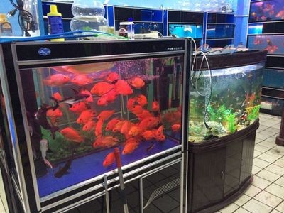 博特水泵流量表（博特水泵流量表接線圖）