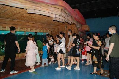 眉山水族館vs祥龍魚場（探討眉山水族館與祥龍魚場之間的差異之前需要明確兩者的基本信息）
