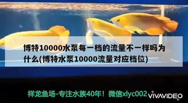 博特10000水泵每一檔的流量不一樣嗎為什么(博特水泵10000流量對應(yīng)檔位)