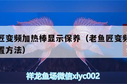 老魚匠變頻加熱棒顯示保養（老魚匠變頻加熱棒設置方法）