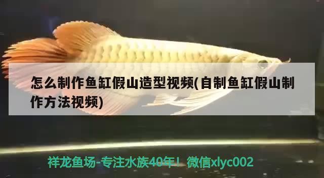 怎么制作魚缸假山造型視頻(自制魚缸假山制作方法視頻)