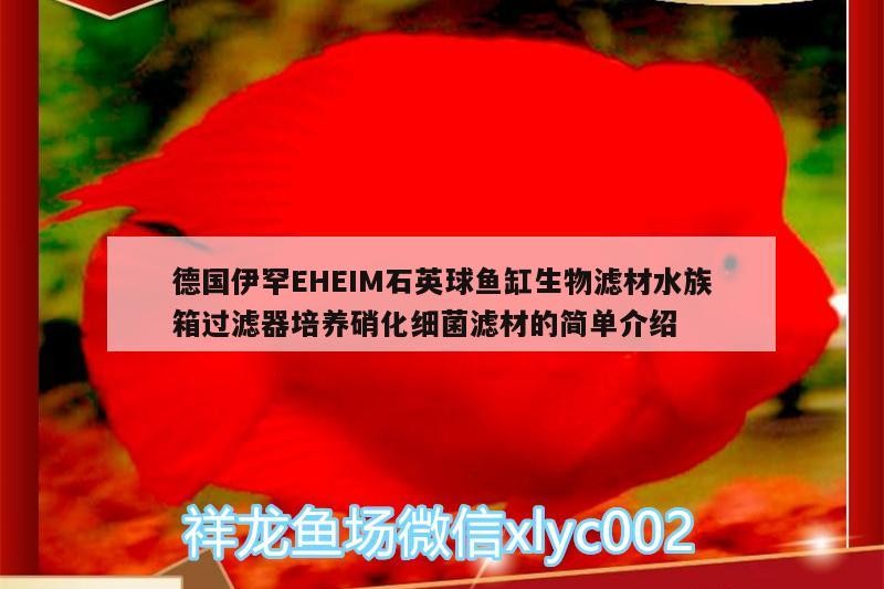 德國(guó)伊罕EHEIM石英球魚缸生物濾材水族箱過濾器培養(yǎng)硝化細(xì)菌濾材的簡(jiǎn)單介紹