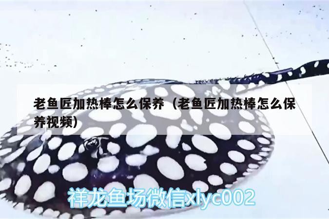 老魚匠加熱棒怎么保養（老魚匠加熱棒怎么保養視頻）