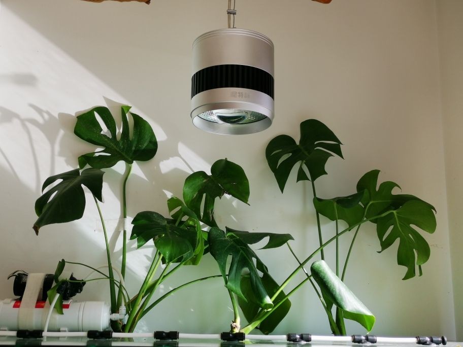 貴池區漁花臺漁具店 全國水族館企業名錄 第1張 貴池區漁花臺漁具店 貴池區漁花臺漁具店 全國水族館企業名錄 第1張