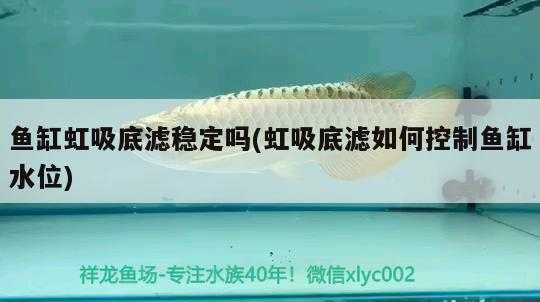 新鄉市高新區牧龍水族店