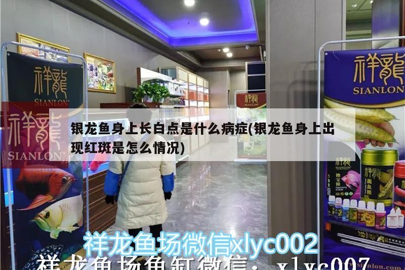 銀龍魚身上長白點是什么病癥(銀龍魚身上出現紅斑是怎么情況)