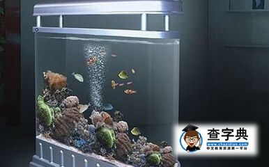 2024年東南方可以放魚缸嗎：2024年東南方不宜放置魚缸等水性裝飾