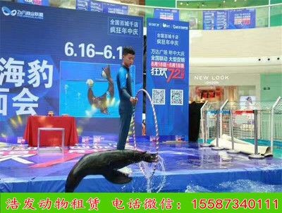 濟寧水族館vs祥龍魚場（探討濟寧水族館與祥龍魚場之間的差異之前需要明確兩者的基本信息）