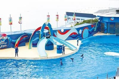 達州水族館vs祥龍魚場（探討達州水族館與祥龍魚場之前需要明確兩者的主要區別）