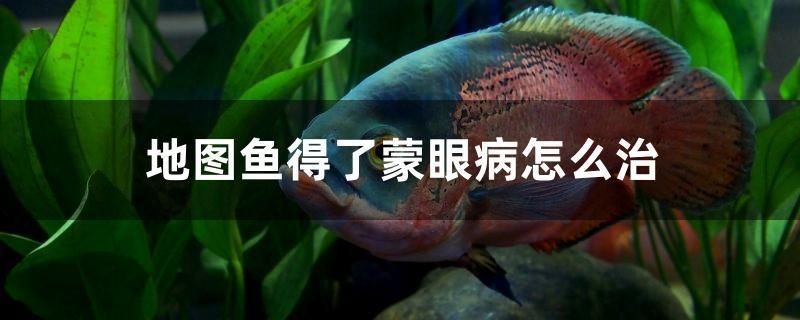 丹東魚缸制作公司排名榜前十名（ 丹東漁業(yè)公司）