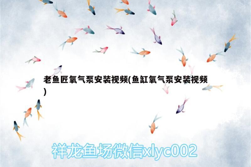 老魚(yú)匠氧氣泵安裝視頻(魚(yú)缸氧氣泵安裝視頻)