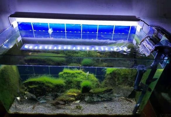 老魚匠魚缸燈怎么樣（老魚匠魚缸燈怎么樣安裝）