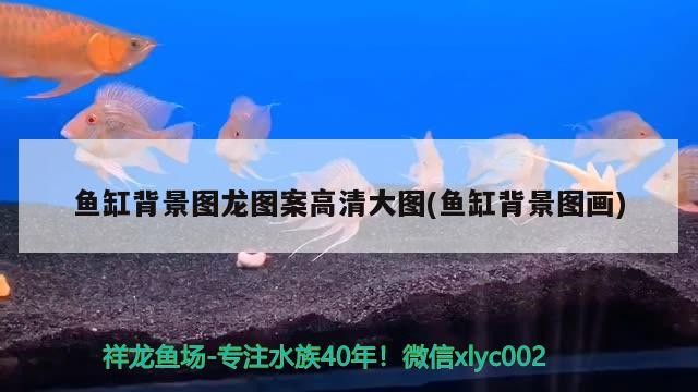 魚缸背景圖龍圖案高清大圖(魚缸背景圖畫)