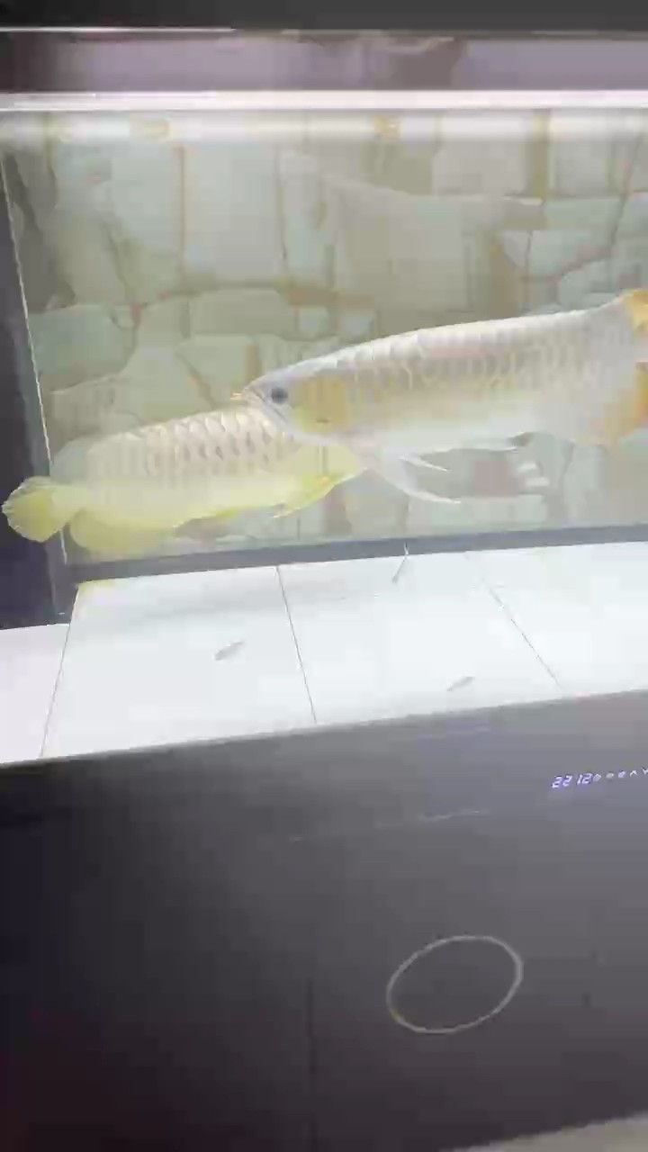 9.24留念