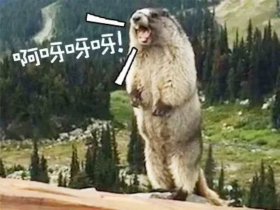 12mm玻璃可以做多高魚缸：12mm玻璃可以做多高魚缸的相關信息