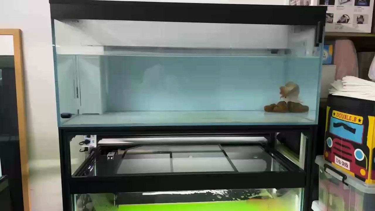 第二天的表現(xiàn)比較平和 希望它早點(diǎn)康復(fù)！